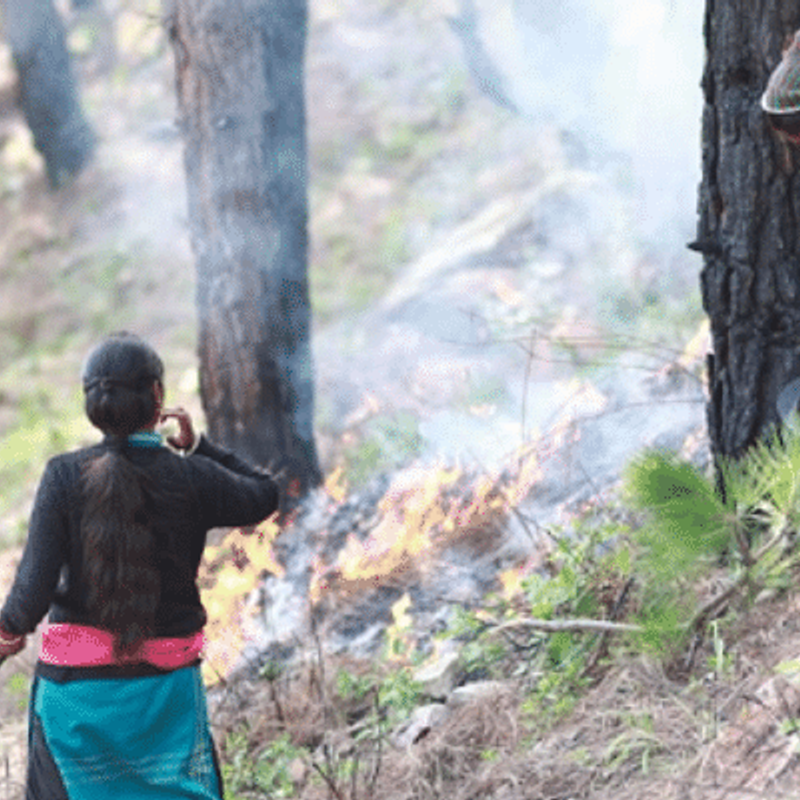 उत्तराखंड में जंगल की आग रोकने और शांत करने के उपाय