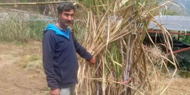 गन्ने की जैविक खेती करके उत्तराखंड के इस जिले को नई पहचान दिला रहे हैं ये शख्स, अन्य किसानों को भी कर रहे प्रेरित