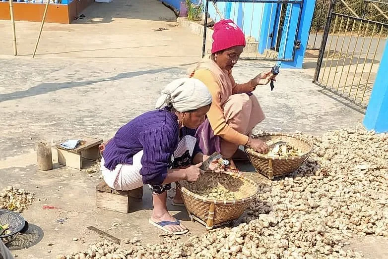 त्रिनिती की पहल के माध्यम से 800 से अधिक महिलाओं को बढ़ी हुई आय के साथ सशक्त बनाया गया है 