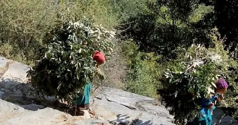 हिमालय में महिला किसान 