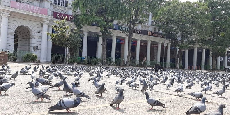 जनता कर्फ्यू: सड़कें वीरान, गलियां सूनसान, 13 राज्य और 75 जिले लॉकडाउन, यहां जानिए रविवार के दिन कब क्या-क्या हुआ