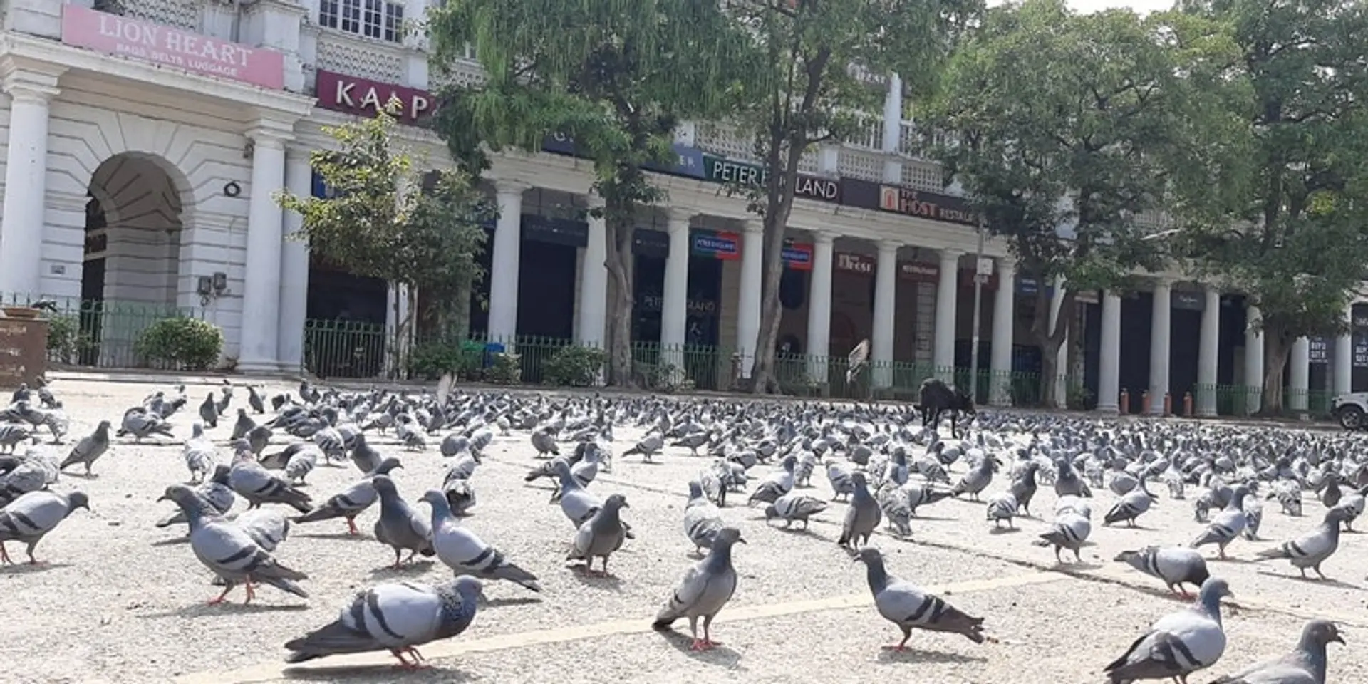 जनता कर्फ्यू: सड़कें वीरान, गलियां सूनसान, 13 राज्य और 75 जिले लॉकडाउन, यहां जानिए रविवार के दिन कब क्या-क्या हुआ