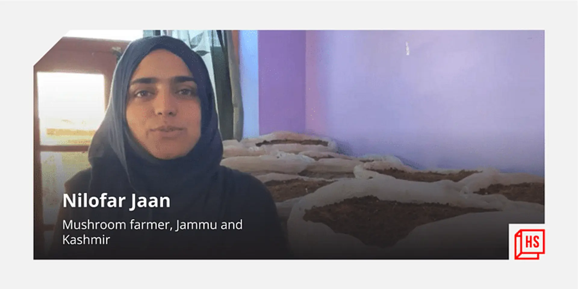 मिलें नीलोफर जान से, जो घर में मशरूम उगाकर कमा रही है गज़ब का मुनाफा