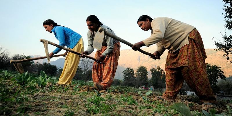 कृषि क्षेत्र में काम कर रही हैं सबसे अधिक महिला श्रमिक: श्रम मंत्रालय की रिपोर्ट