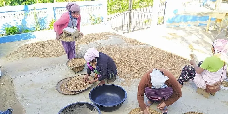 लाकाडोंग हल्दी की सफाई करती महिला किसान 