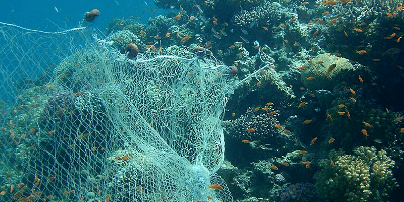 समुद्री जीवों को प्लास्टिक प्रदूषण से बचाने पर आगे बढ़ी चर्चा, अंतरराष्ट्रीय संधि के लिए प्रस्ताव पारित