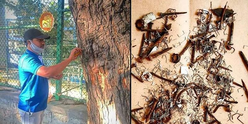 बेंगलुरु का यह वैज्ञानिक और उसके दोस्त पेड़ों को बचाने के अनोखे मिशन पर हैं