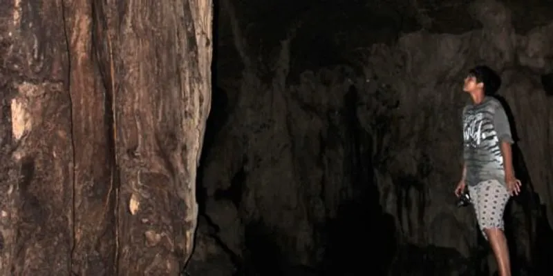 अंडमान में चूना पत्थर की गुफा में कवलकर। तस्वीर- SACON