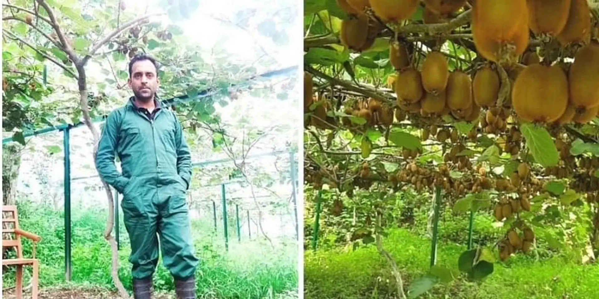 मिलें इस युवा उद्यमी से जो कार्पोरेट को अलविदा कहने के बाद उगाने लगे कीवी और सेब, आज कमा रहे हैं लाखों