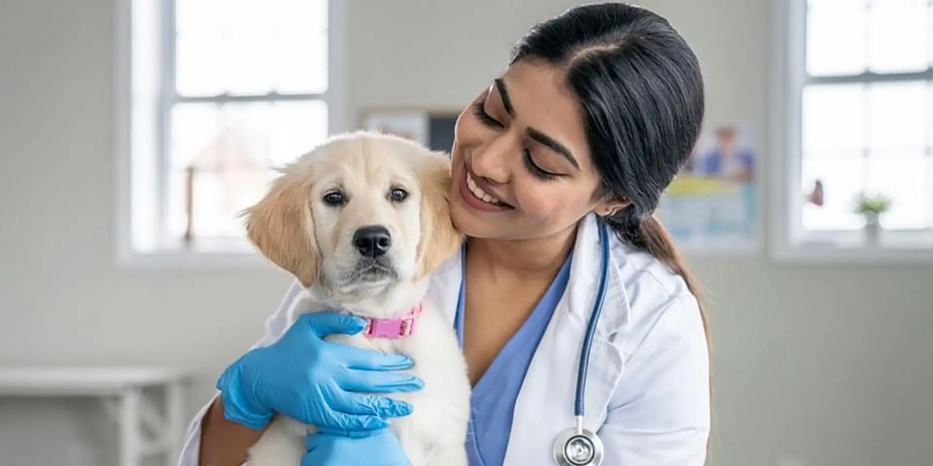 Cargill ने पालतू पशुओं के स्वास्थ्य को ध्यान में रखते हुए लॉन्च किया डिजिटल प्लेटफॉर्म Zoonivet