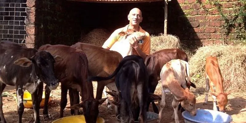 गायों के साथ अतुल