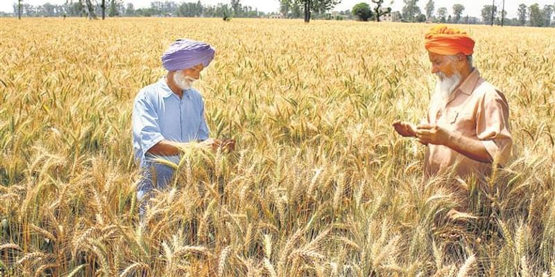 भारत का कृषि निर्यात 50 बिलियन डॉलर की ऐतिहासिक ऊंचाई पर पहुंचा