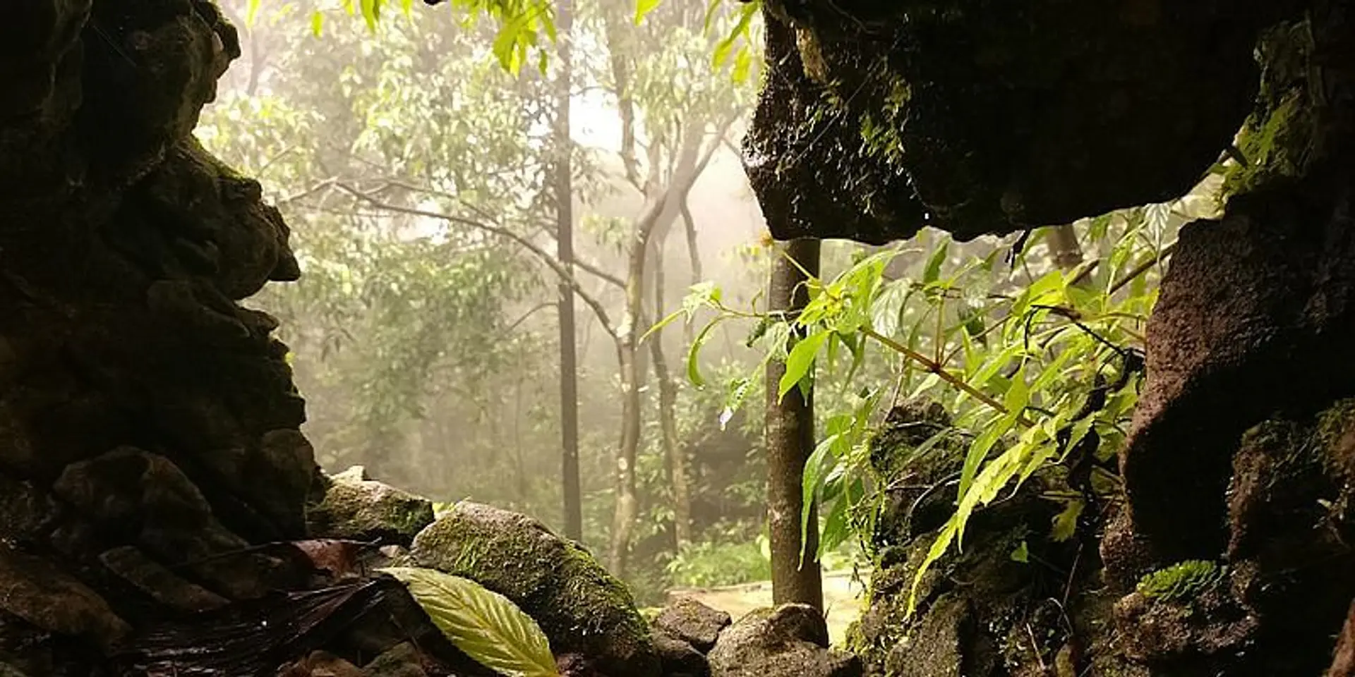 अतिवृष्टि वाले स्थान पर कम हो रही बारिश, क्या है वजह?