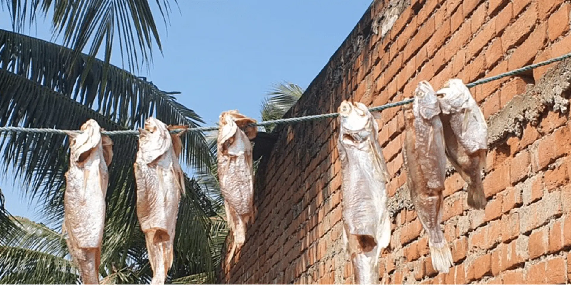आजीविका और वजूद की लड़ाई लड़ रहीं ओड़िशा की तटीय महिलाएं