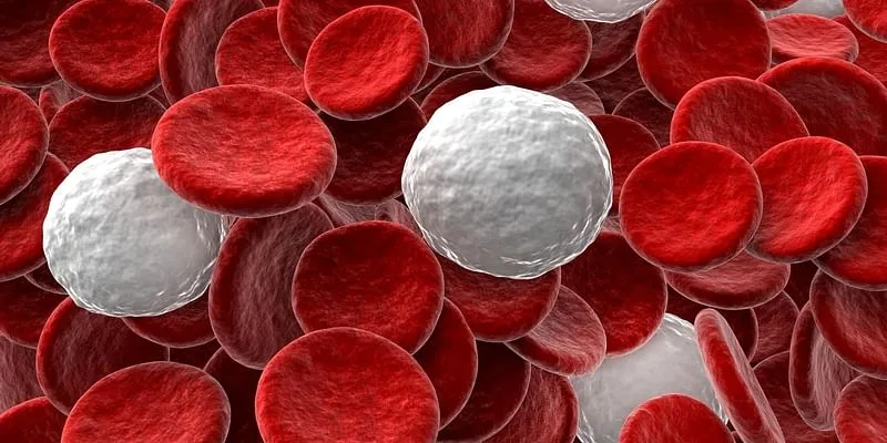  white blood cell markers