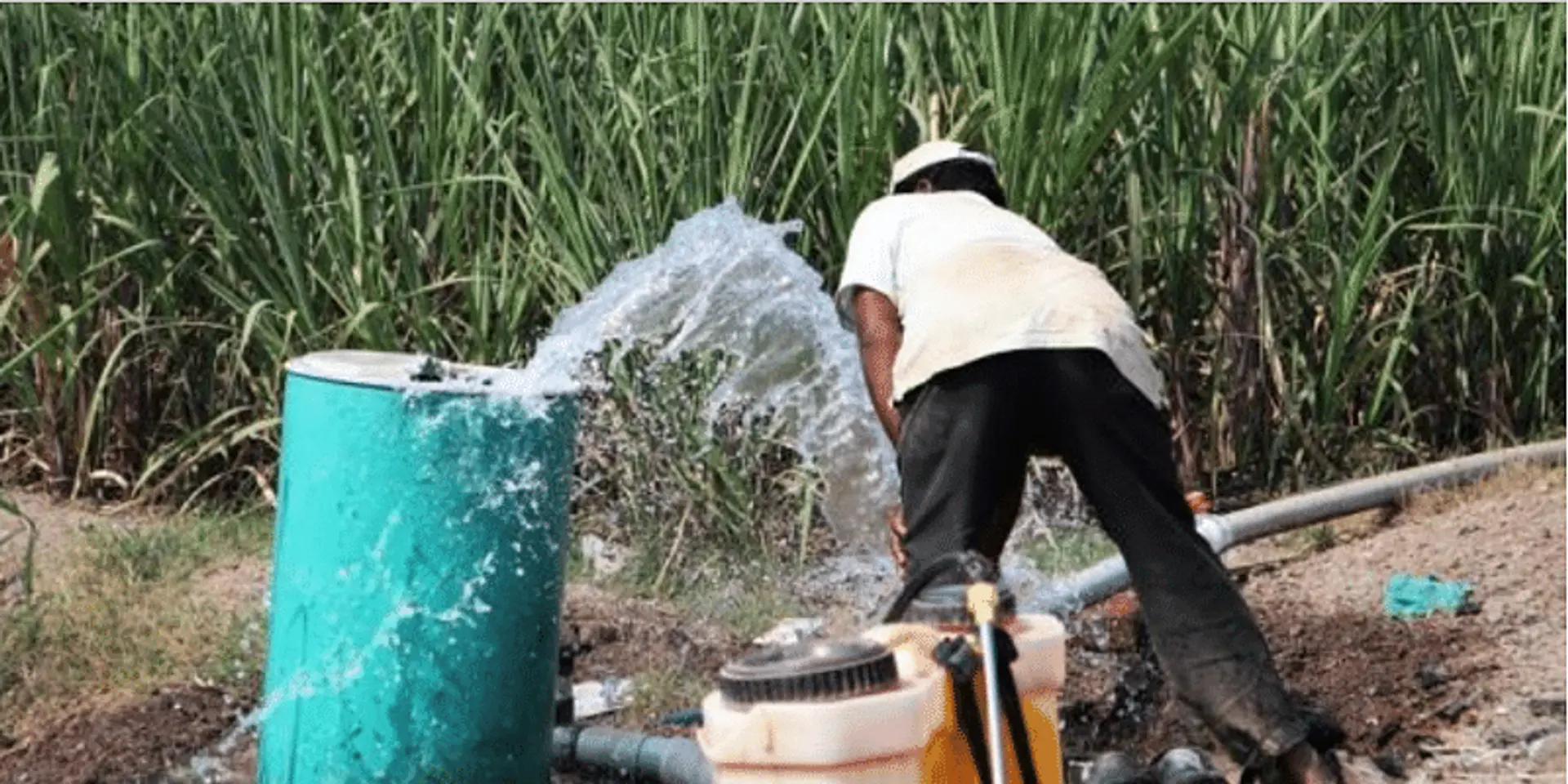महाराष्ट्र के गन्ना किसानों तक कितना पहुंच रहा गन्ने से ईंधन बनाने की योजना का लाभ