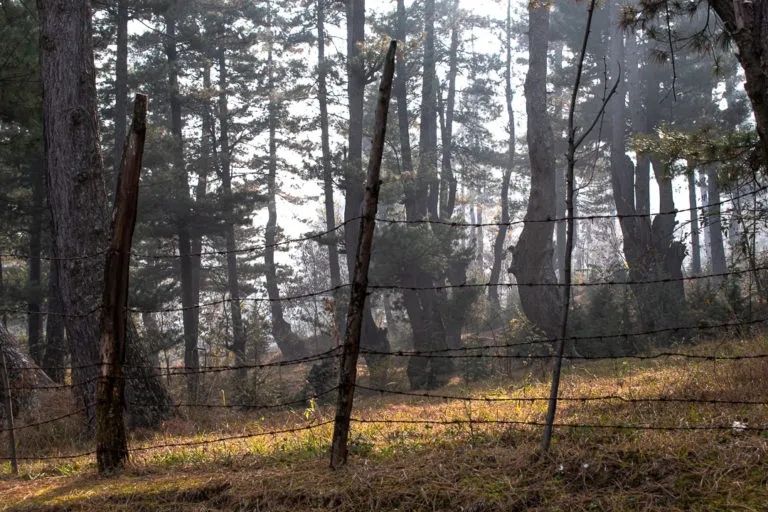 जंगलों को बहाल करने के लिए कंटीले तारों से घेरा गया है। तस्वीर- आमिर बिन रफी / मोंगाबे