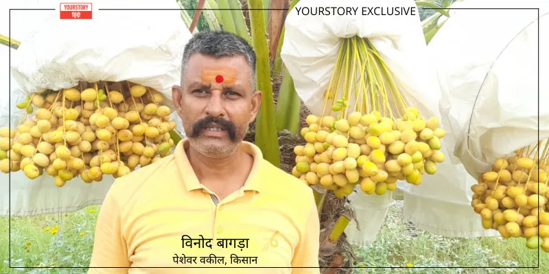 Khajoor Ki Kheti_Lawyer Vinod Bagra_Parbatsar