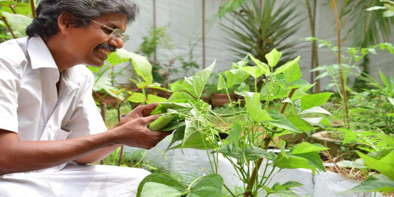 मिलें केरल के उस इंजीनियर से, जो मात्र 60 वर्ग फीट में उगाते हैं 26 तरह की सब्जियां