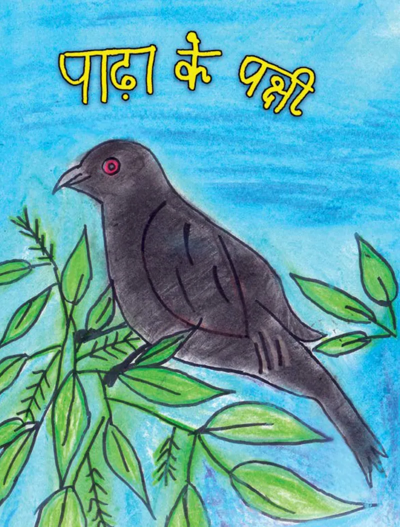 पाढ़ा के पक्षी मैग्जीन का मुख्य पृष्ठ। इस मैग्जीन में पाढ़ा में रहने वाले 70 प्रजातियों के पक्षियों की जानकारी है। तस्वीर साभार- दिशा इंडिया कम्युनिटी स्कूल