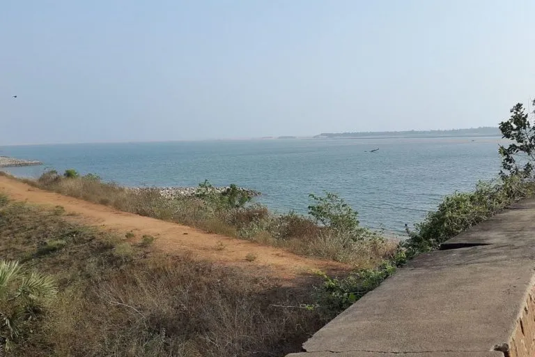 गंजम किले से ऋषिकुल्या नदी का एक नजारा। ओड़िशा में कछुओं की  तीन नेस्टिंग साईट हैं। गहिरमाथा समुद्री-तट और रुशिकुल्या और देवी नदियों के मुहाने जो कुल मिलाकर 170 किलोमीटर की तटरेखा को कवर करती हैं। तस्वीर– सिदसाहू/विकिमीडिया कॉमन्स।