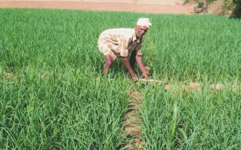 49 साल के खेतिहर मजदूर गंगाधरप्पा 35 साल से काम करने के बाद भी आजादी का सपना देख रहे हैं। उनकी अपील को सरकार के साथ साझा किया गया है। (फोटो साभार: जीविका)