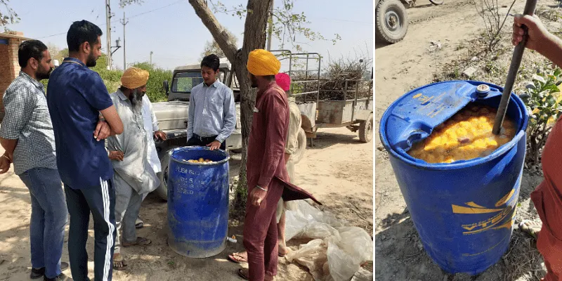 Kinnow के साथ पंजाब में बायोइन्जाइम बनाते हुए विपेश