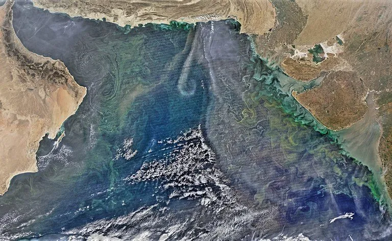 अरब सागर में सर्दियों के वक़्त फाइटोप्लांकटन के दिखने का उपग्रहीय दृश्य, जिसमें जमीन से धूल उड़ती दिख रही है। फोटो: नासा/विकिमीडिया कॉमन्स।