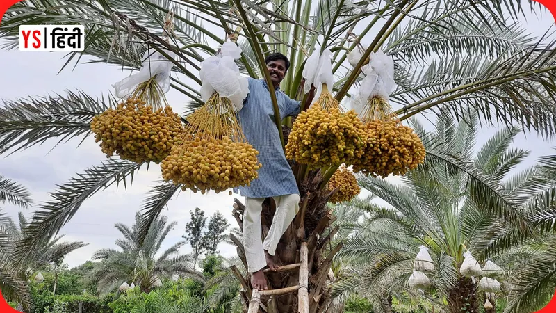 YourStoryHindi_divakar-channappa-isro-scientist-organic-date-farming-success-story
