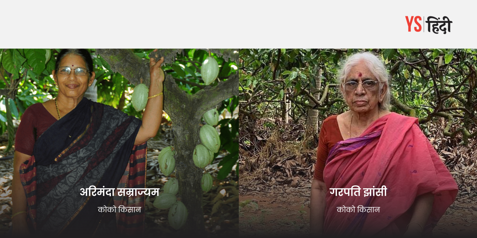 कोको की खेती से ये महिलाएं कमा रही है बड़ा मुनाफा, जानिए कैसे?