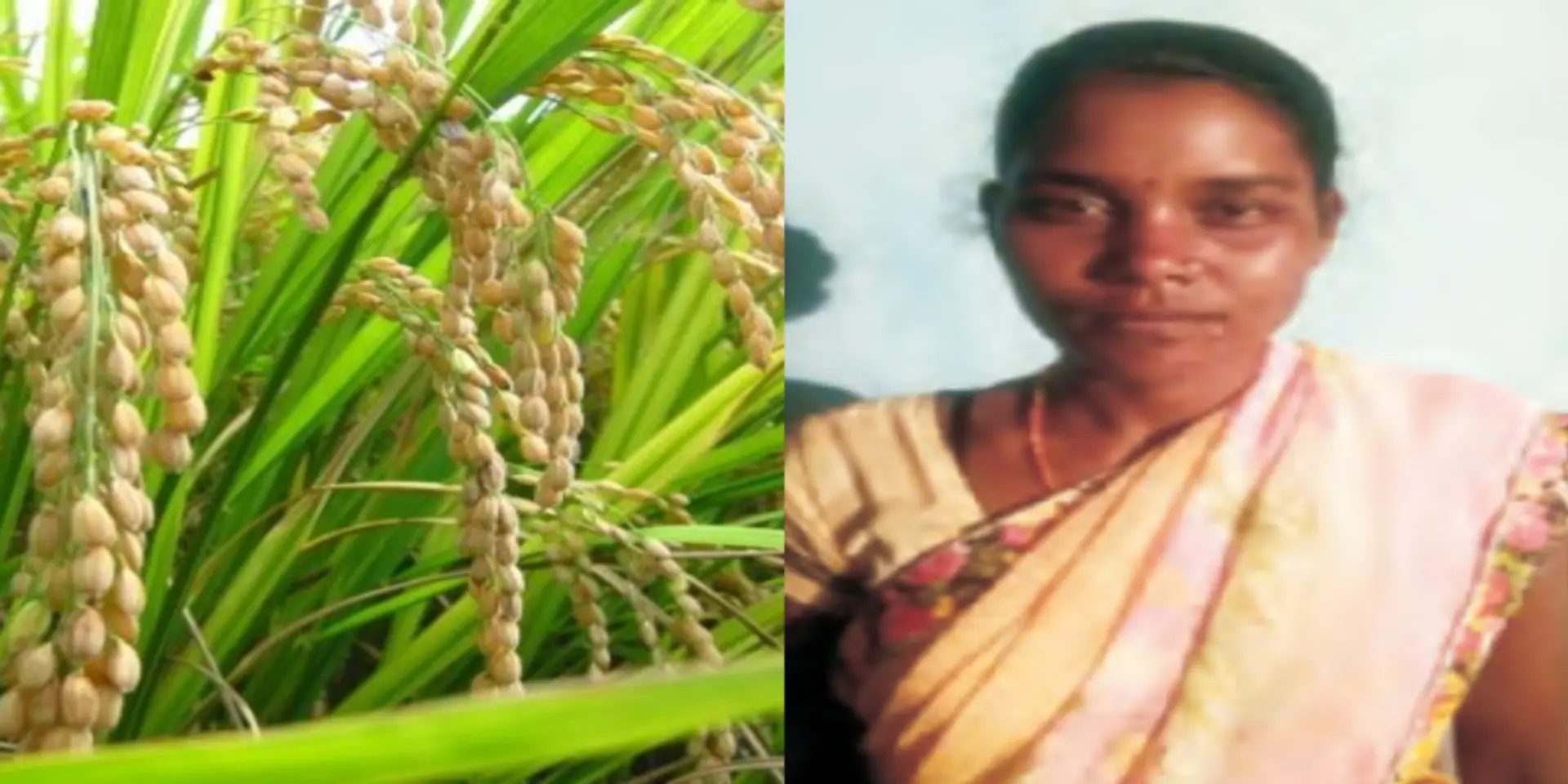कैसे एक मजदूरी करने वाली महिला बन गई लखपति किसान?
