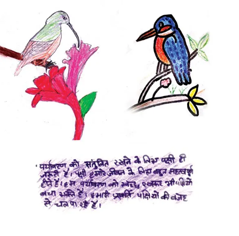 पाढ़ा के पक्षी मैग्जीन में शामिल बच्चों द्वारा बनाए पक्षियों के चित्र