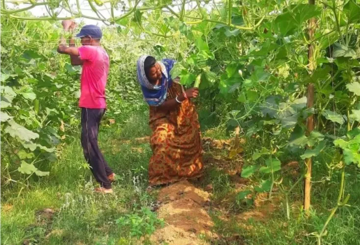रूपाली और उनके पति सूर्य मंडी