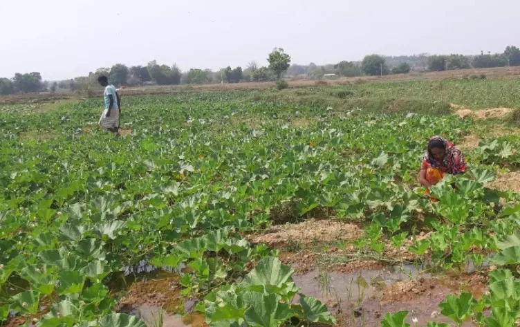 रूपाली और उनके पति सूर्य मंडी