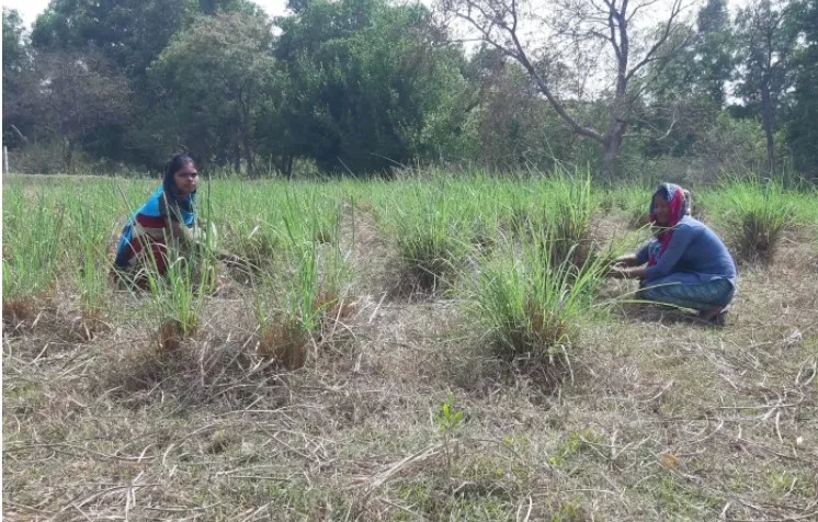 रूपाली और उनके पति सूर्य मंडी
