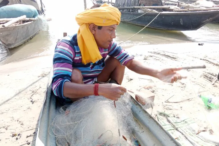 फरक्का के पास अपनी जाल सुलझाता एक मछुआरा। कृत्रिम जाल के उपयोग से नदी में प्लास्टिक कचरा तेजी से फैलता है। डॉल्फिन अक्सर मछली पकड़ने के बारीक सिंथेटिक जाल के बॉयकैच में फंस जाते हैं या उसे खा लेते हैं। तस्वीर- राहुल सिंह/मोंगाबे