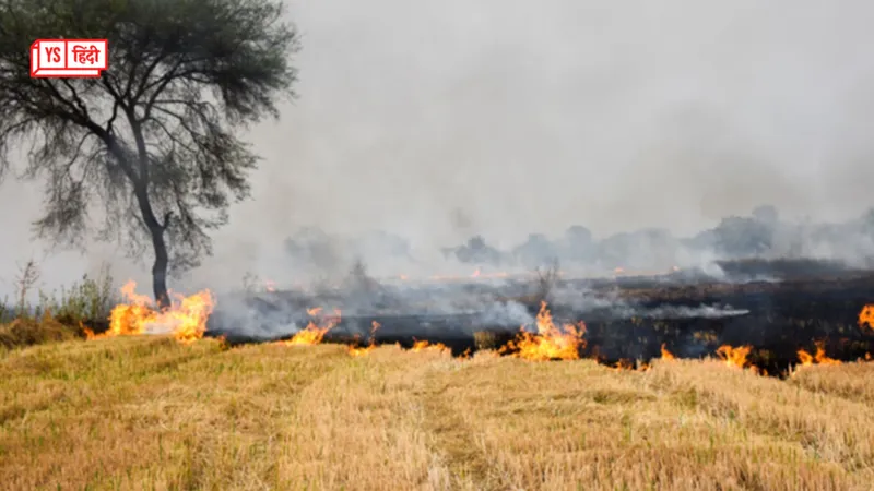 how-and-how-much-does-stubble-burning-cause-air-pollution-the-government-told-in-parliament