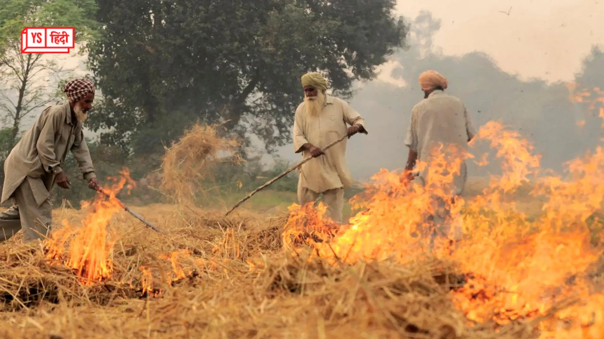 पराली जलाने से वायु प्रदूषण कैसे और कितना होता है? सरकार ने संसद में बताया