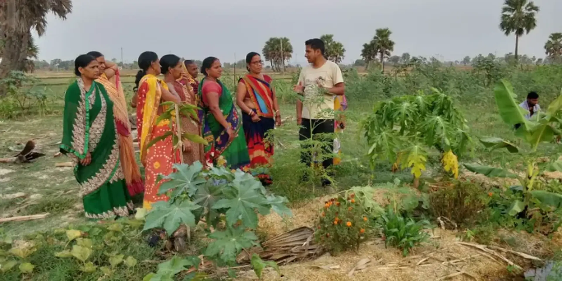 जानिए कृषि सखी सर्टिफिकेशन कार्यक्रम की ये खास बातें...