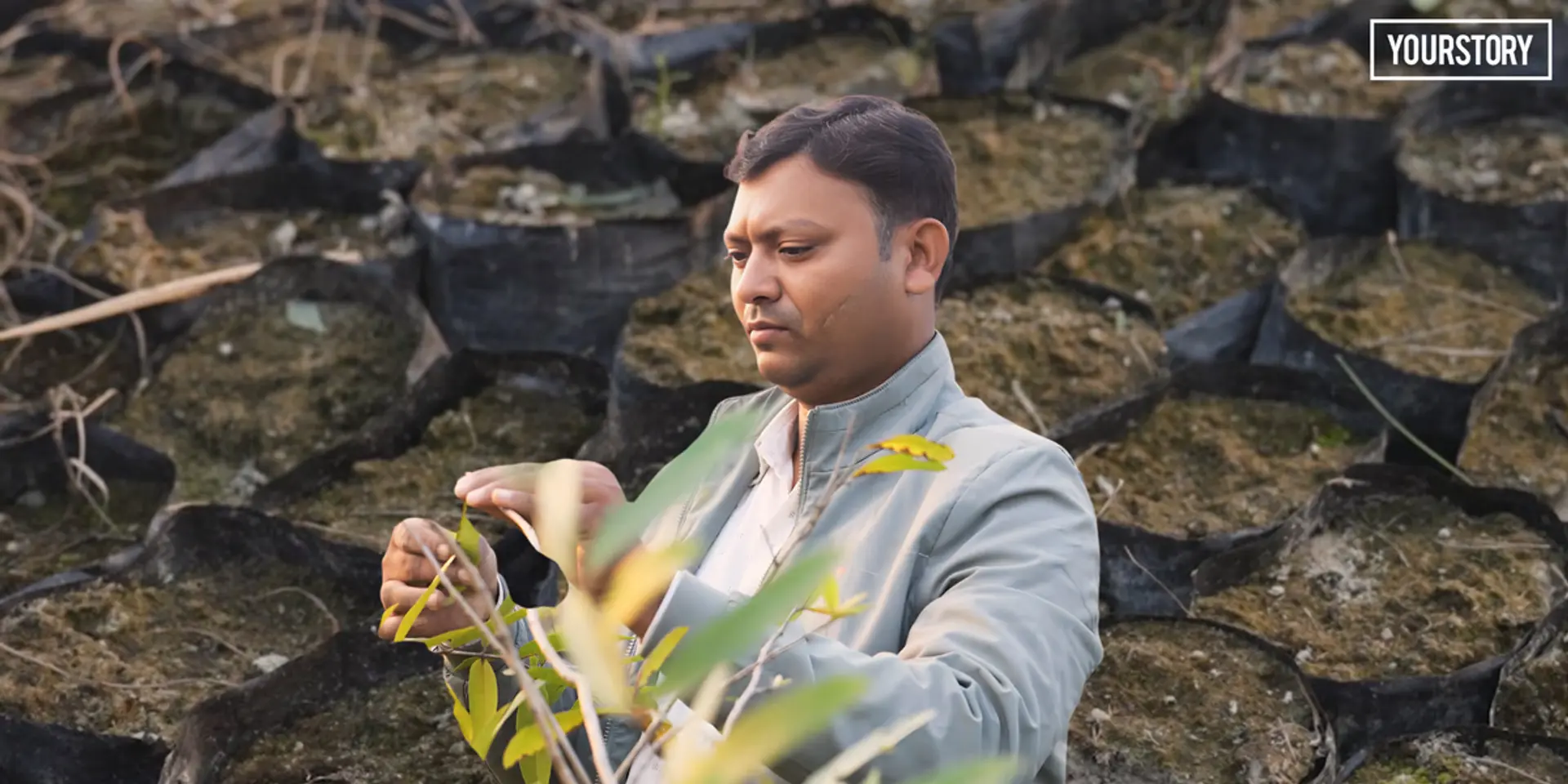 बीज से बिजनेस तक: कैसे महाराजगंज के सोनू ने खड़ा किया नर्सरी बिजनेस, जानिए...