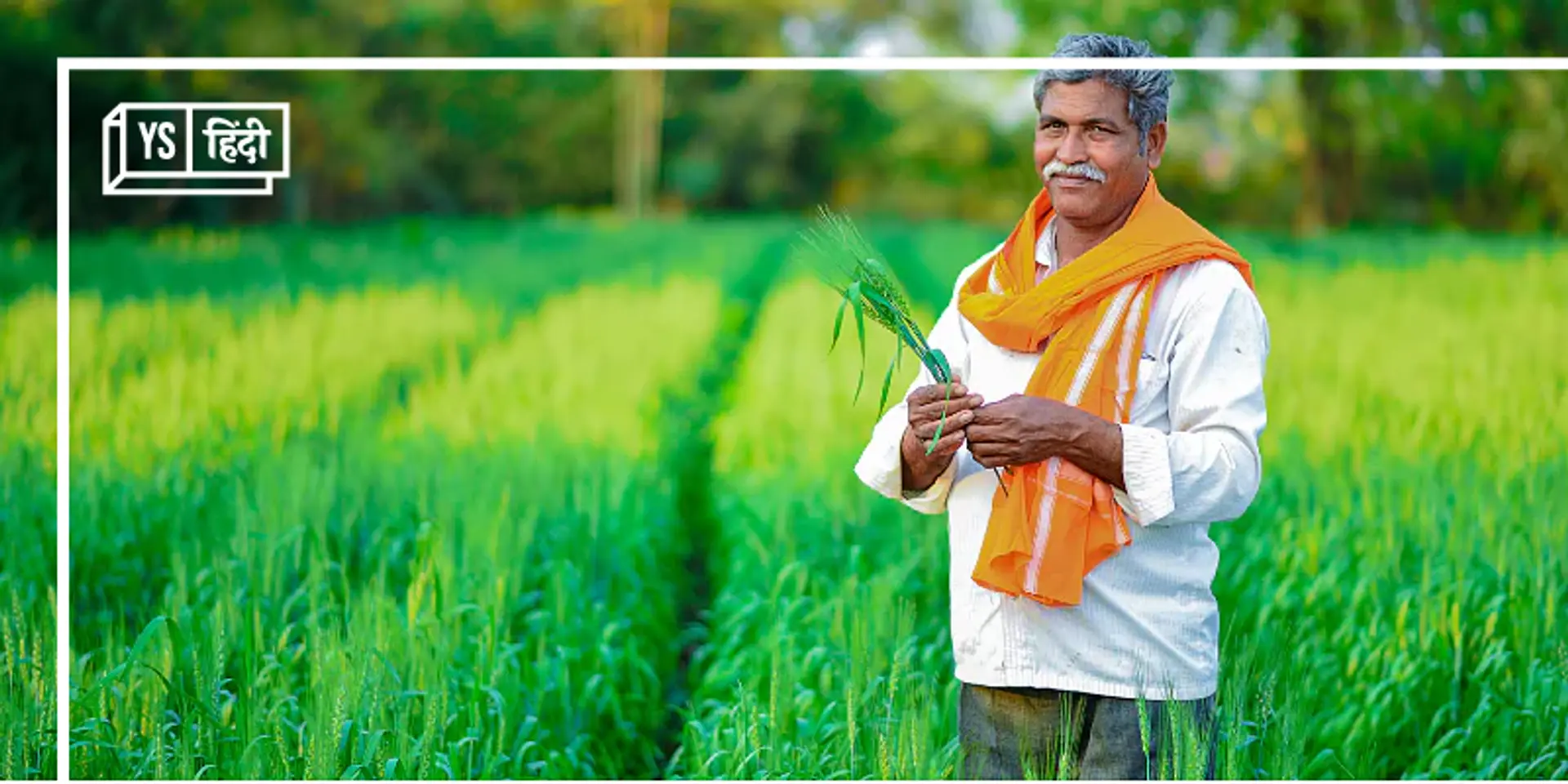 देश के अन्नदाताओं को मोदी सरकार ने दी बड़ी सौगात, इन 17 फसलों पर बढ़ाई MSP
