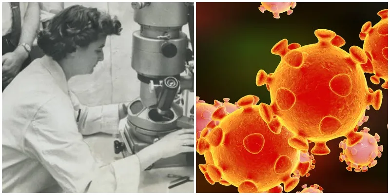 जून अल्मेडा ने सबसे पहले कोरोनावायरस को पता लगाया था 