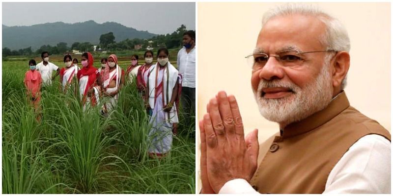 प्रधानमंत्री मोदी ने झारखंड के गुमला जिले में लेमनग्रास की खेती करने के प्रयास की सराहना की