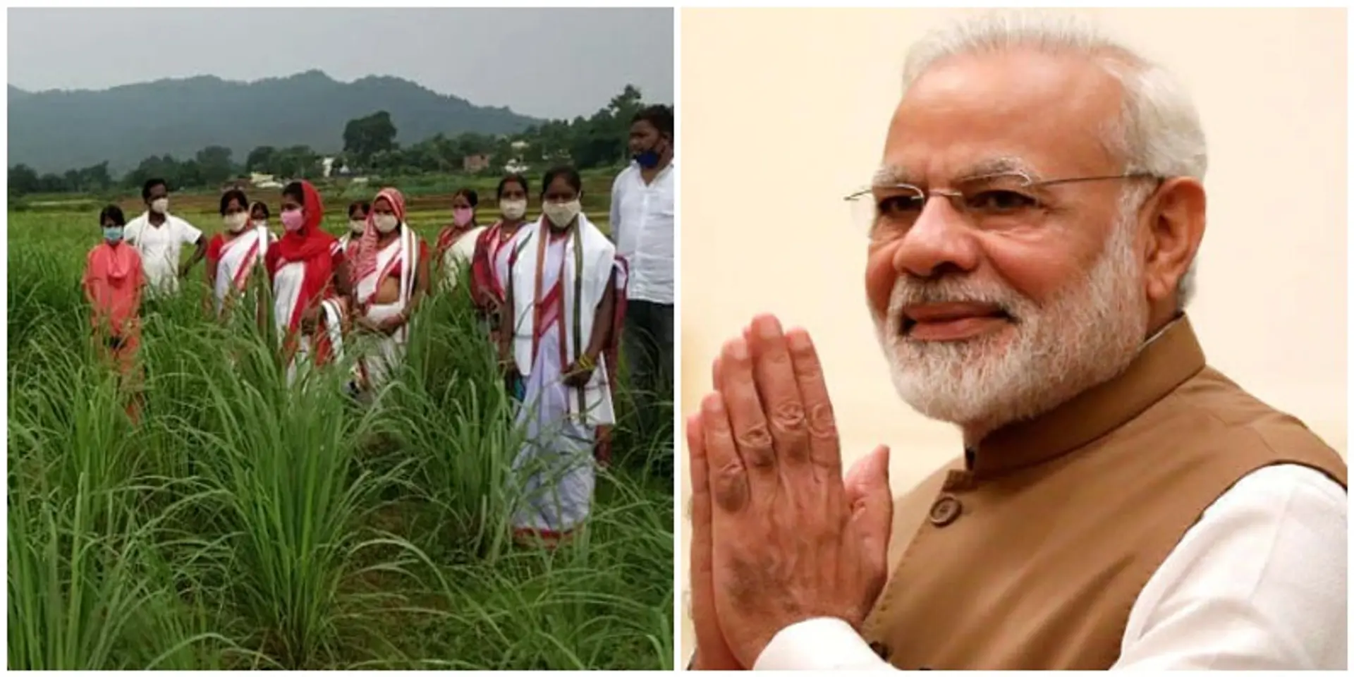 प्रधानमंत्री मोदी ने झारखंड के गुमला जिले में लेमनग्रास की खेती करने के प्रयास की सराहना की
