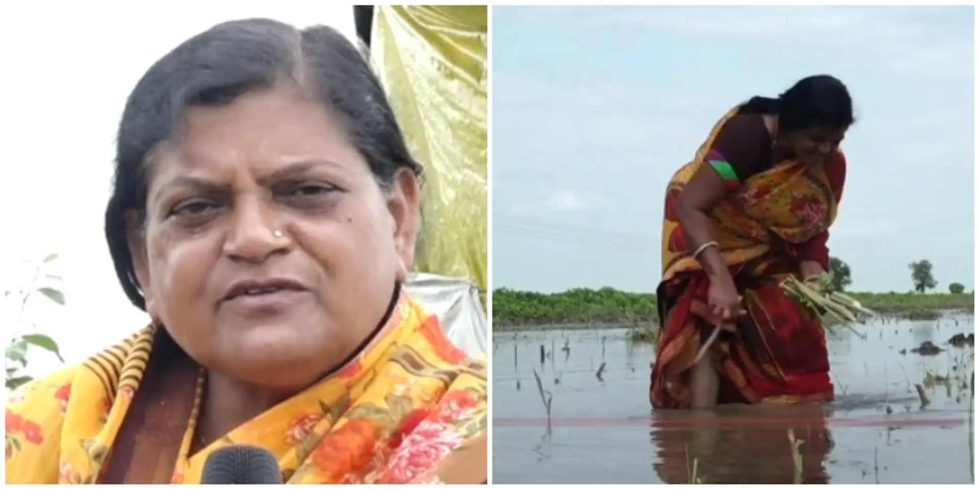 आर्थिक अभावों के चलते जब परिवार के 3 पुरूषों ने कर ली आत्महत्या, तब ज्योती देशमुख ने किसान बन उठाई घर की ज़िम्मेदारी