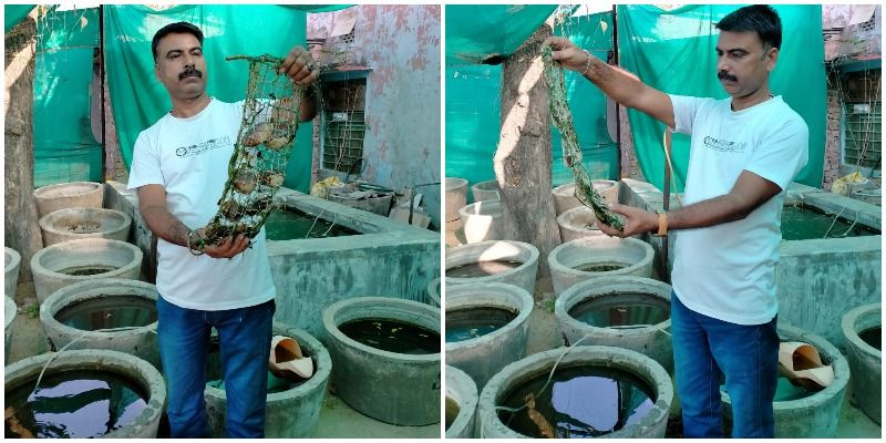 नरेंद्र कुमार गरवा से सीखें मोती की खेती करने का तरीका और कमाए लाखों का मुनाफा
