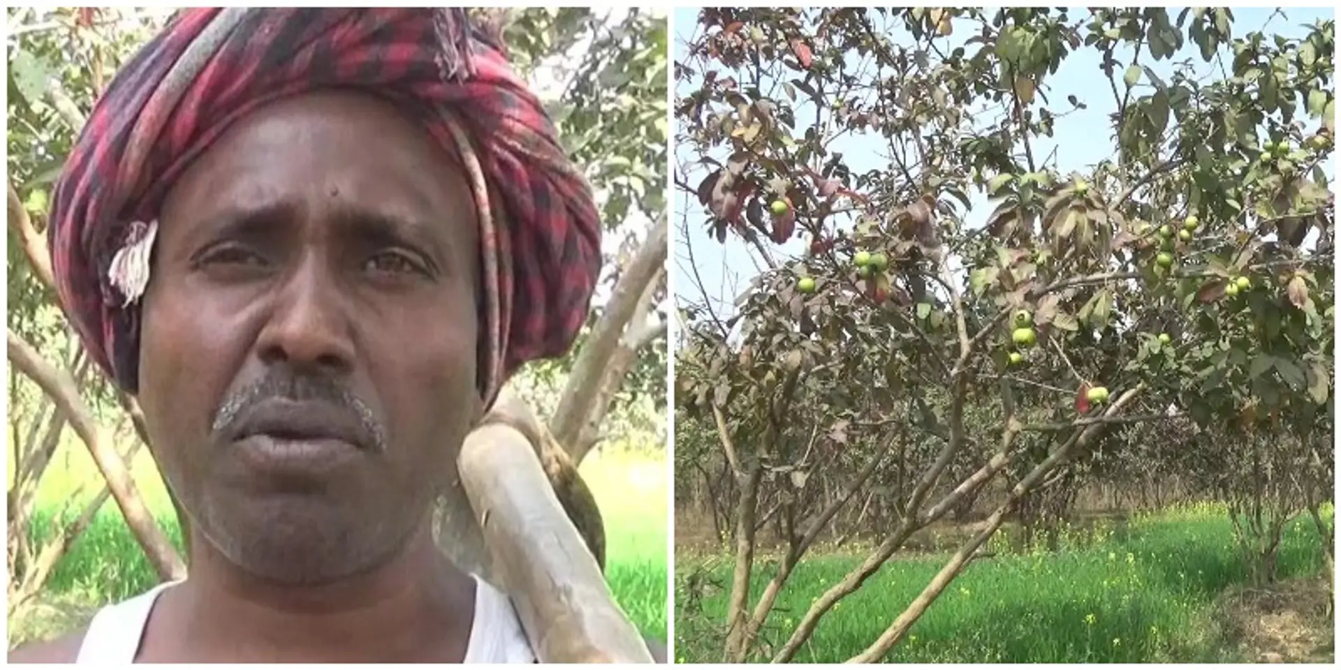 'माउंटेनमैन' दशरथ मांझी से प्रेरित होकर इस शख्स ने 15 वर्षों में लगाए 10 हजार पेड़