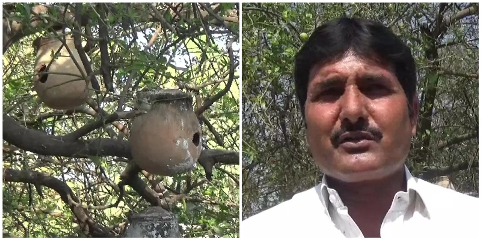 बिहार के इस शख्स ने पक्षियों के लिए बनाए खास तरह के घोंसले, CCTV के जरिए रखते हैं नज़र