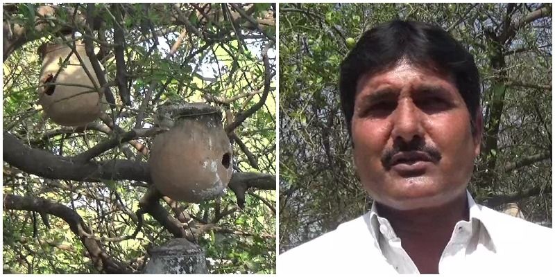 बिहार के इस शख्स ने पक्षियों के लिए बनाए खास तरह के घोंसले, CCTV के जरिए रखते हैं नज़र