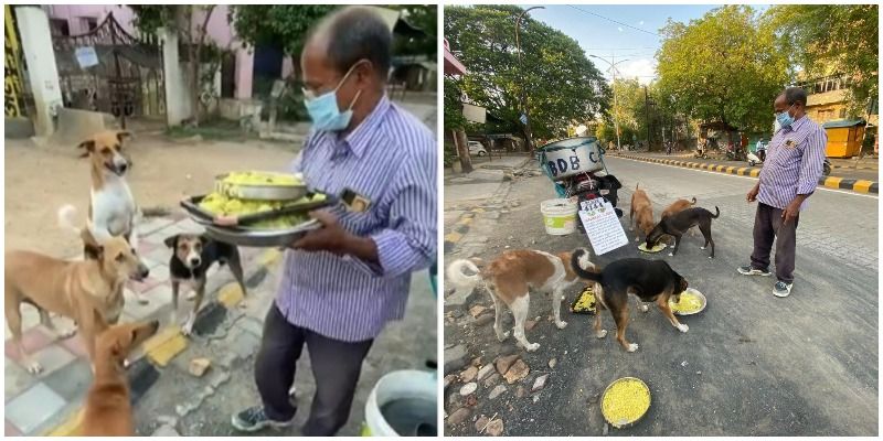 'डॉग मैन ऑफ नागपुर' रंजीत नाथ 11 सालों से रोजाना 150 से ज्यादा आवारा कुत्तों को दे रहे खाना